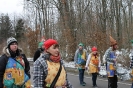 Fasching 2013_16