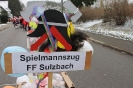 Fasching 2013_1