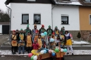 Fasching 2013_5